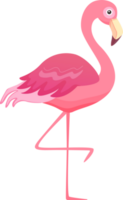 Pink flamingo png. Cute bird in cartoon style. Illustration isolated on transparent background. png