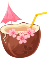 Coconut cocktail with pink flowers and straw png. Coconut drink in cartoon style. Illustration isolated on transparent background. png