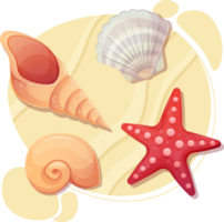 Sea shell on a beach sand png. Starfish and different seashells top view. Collection set. Illustration isolated on transparent background. png