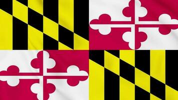 Maryland drapeau Animé 4k. video