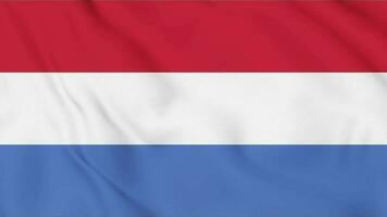 Nederland vlag geanimeerd 4k. video