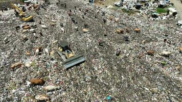 aereo Visualizza di un' città cumulo di rifiuti centro pieno di spazzatura. mandria di mucche mangiare spazzatura nel un' discarica. ecologia e Salute questioni. video