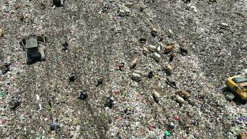 vista aérea de un centro de basura de la ciudad lleno de basura. rebaño de vacas comiendo basura en un vertedero. problemas de ecología y salud. video