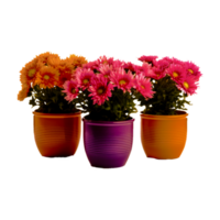 bloempot kamerplant, patio, kleur, venster doos generatief ai png