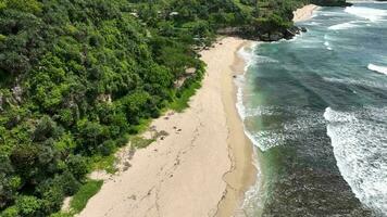 aéreo Visão do lindo esvaziar tropical de praia com branco areia e mar sem visitantes dentro Yogyakarta, Indonésia. video