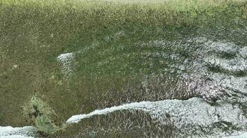 Antenne Aussicht von dunkel Ozean Wellen mit Weiß waschen. braun Riff mit azurblau Wasser bedeckt durch Wellen abstürzen in Weiß Meer Schaum. video