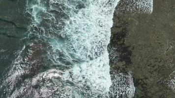 Antenne Aussicht von dunkel Ozean Wellen mit Weiß waschen. braun Riff mit azurblau Wasser bedeckt durch Wellen abstürzen in Weiß Meer Schaum. video