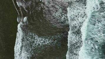 Antenne Aussicht von dunkel Ozean Wellen mit Weiß waschen. braun Riff mit azurblau Wasser bedeckt durch Wellen abstürzen in Weiß Meer Schaum. video