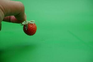 hand holding a red strawberry isolated on green background. photo