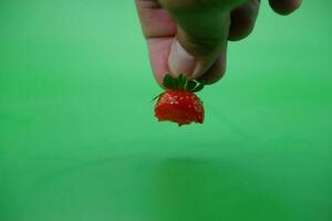 hand holding a bitten strawberry isolated on green background. photo