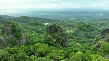 Aerial view of Nglanggeran ancient volcano, Indonesia. video