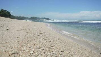 Looping Tropical Beach with Blue Sky in Indonesia video