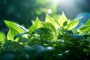 green plant leaves with sunlight. ai generated photo