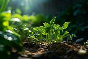 green plant leaves with sunlight. ai generated photo