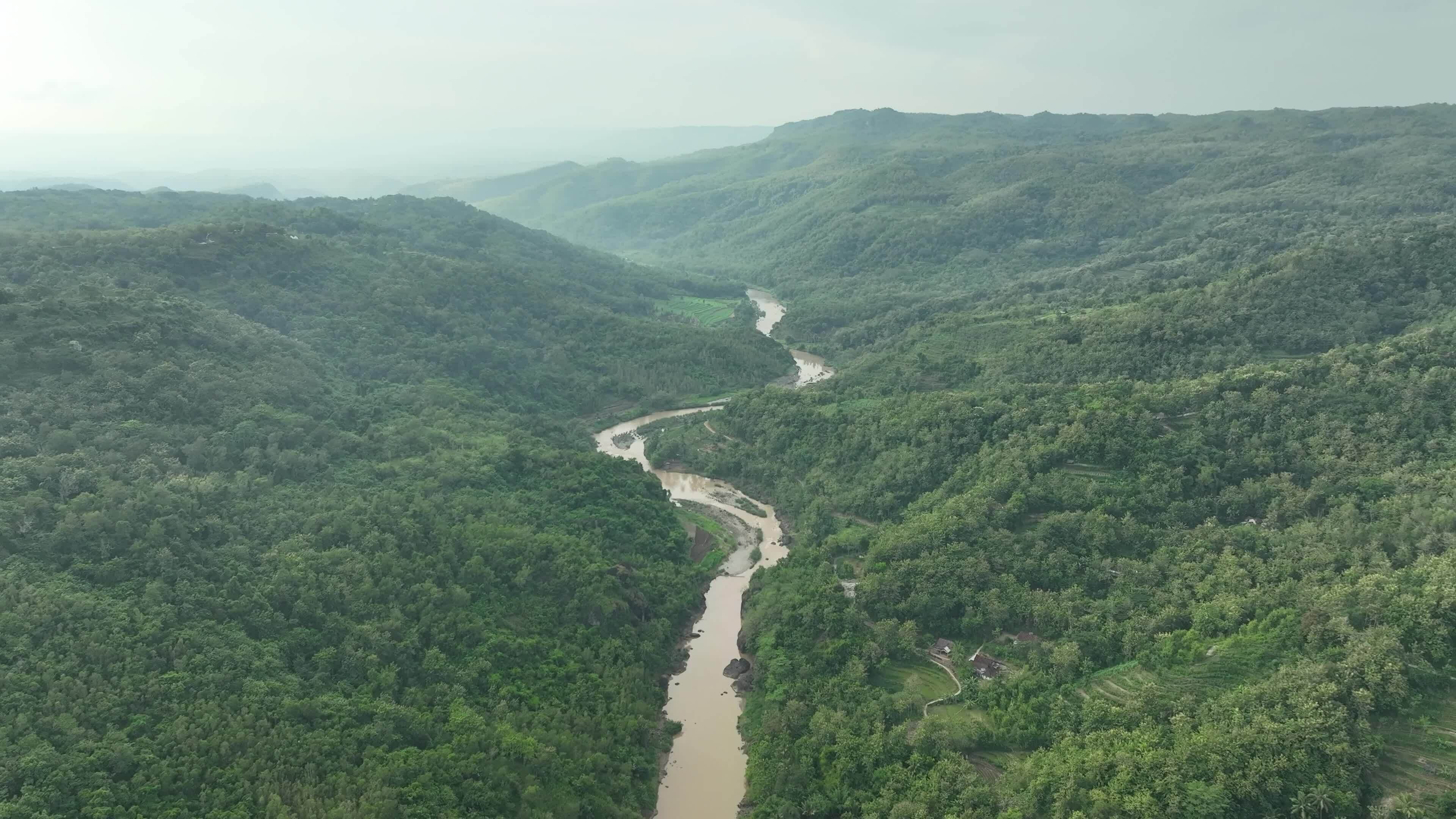 Aerial View of River Bend in Tropical Forest 25315439 Stock Video at