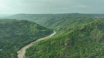 aéreo ver de río curva en tropical bosque video
