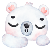 caprichoso polar Urso dormindo face desenho animado brincalhão inverno animal aguarela crianças ilustração png