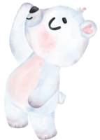 brincalhão polar urso, expressivo aguarela desenho animado personagem, variado poses png