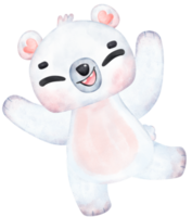 brincalhão polar urso, expressivo aguarela desenho animado personagem, variado poses png