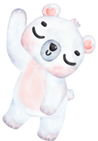 brincalhão polar urso, expressivo aguarela desenho animado personagem, variado poses png