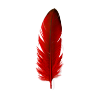 hoja del Norte cardenal pluma, rojo pluma, hoja, pluma generativo ai png