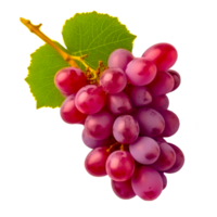 grape, fresh fruits, grape png Generative Ai