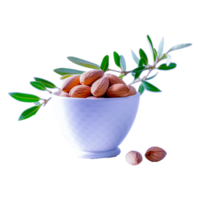 Set Almond In Nutshell With Leaves Detailed Raw Nut Generative Ai png