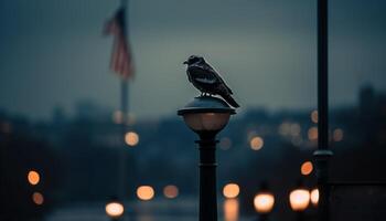 un Gaviota soportes en un cerca, espalda iluminado por puesta de sol generativo ai foto