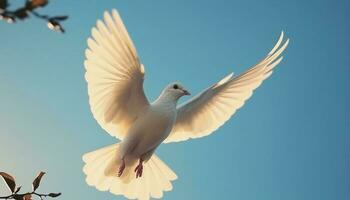 The dove pure elegance symbolizes peace and spirituality in motion generative AI photo