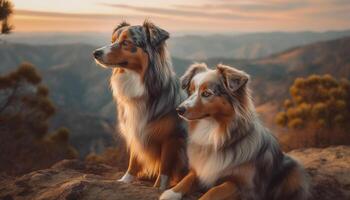 Loyalty and friendship in nature two playful dogs enjoying outdoors generative AI photo