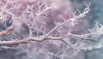 Winter beauty captured in close up of frost on pine tree generated by AI photo