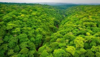 Tranquil scene of green meadow and mountain range, aerial view generated by AI photo