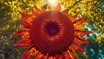 Vibrant sunflower blossom in meadow, nature organic decoration generated by AI photo