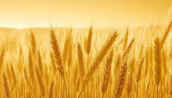 Golden wheat fields in autumn, a tranquil rural landscape pattern generated by AI photo