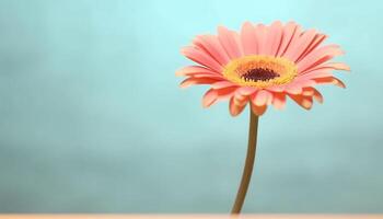 Vibrant gerbera daisy, a symbol of love and fragility generated by AI photo