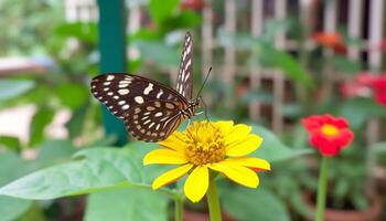 Vibrant butterfly wing in close up, showcasing multi colored beauty generated by AI photo