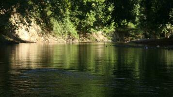 Water stream in summer green nature photo