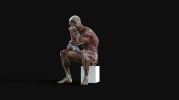 3d Illustration of male figures pose with skin and muscle map on dark background with clipping path, Concept of between gods pose. video