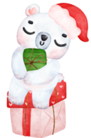 Kerstmis verrassing, blij aanbiddelijk polair beer met gestapeld presenteert, winter dier waterverf kinderen illustratie png