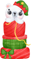 Natale sorpresa, gioioso adorabile polare orso con impilati regali, inverno animale acquerello bambini illustrazione png