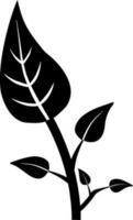 Black and White leaves on white background. vector