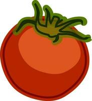 Flat style illustration of red tomato. vector