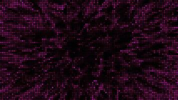 mezzitoni puntini astratto digitale tecnologia animato rosa leggero su nero sfondo. video
