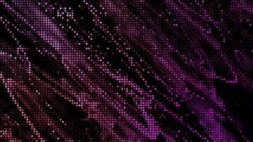 halvton prickar abstrakt digital teknologi animerad rosa ljus på Balck bakgrund. video
