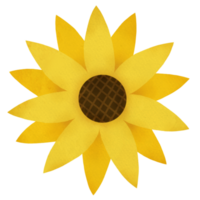 tournesol aquarelle illustration png