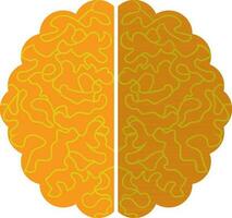 Isolated brain in orange and green color. vector
