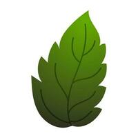Shiny green leaf in flat style. vector