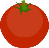 Illustration of a tomato. vector