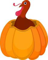 Character of turkey in the pumpkin. vector