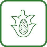 Dragon Fruit Vector Icon